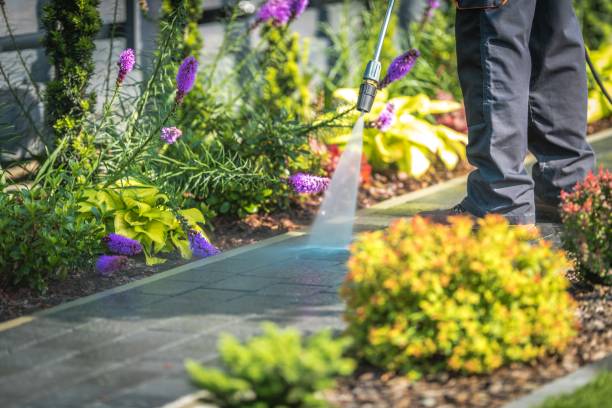 Best Dumpster Area Cleaning  in Evans, GA